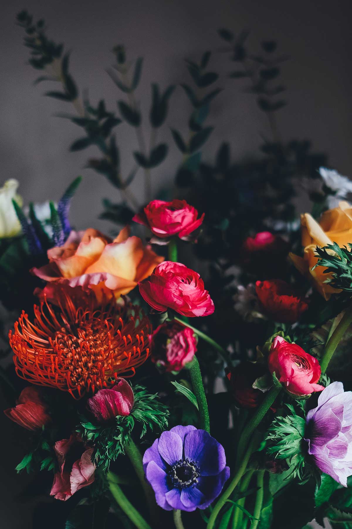 Annie Spratt Photography