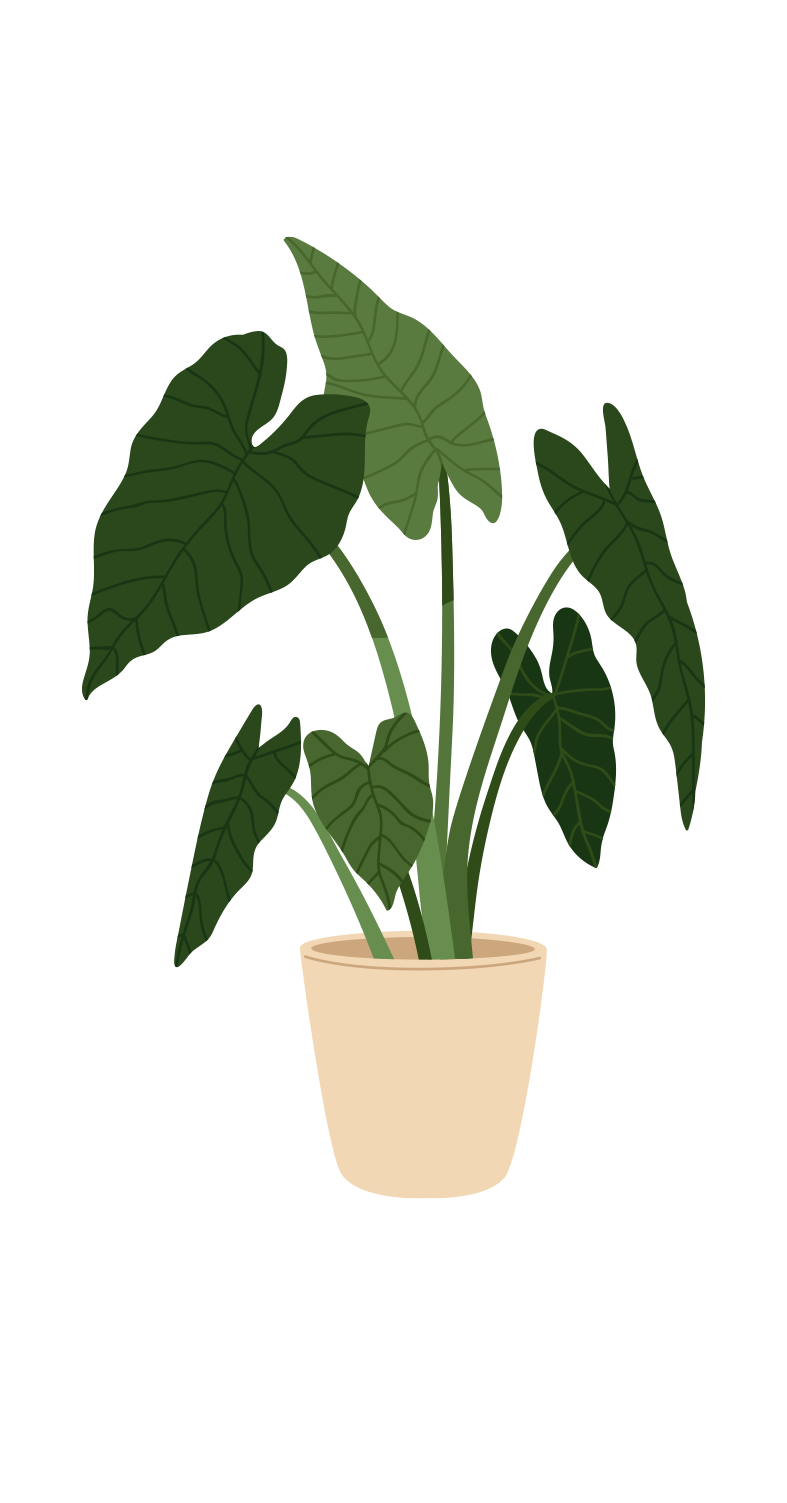 Plant010